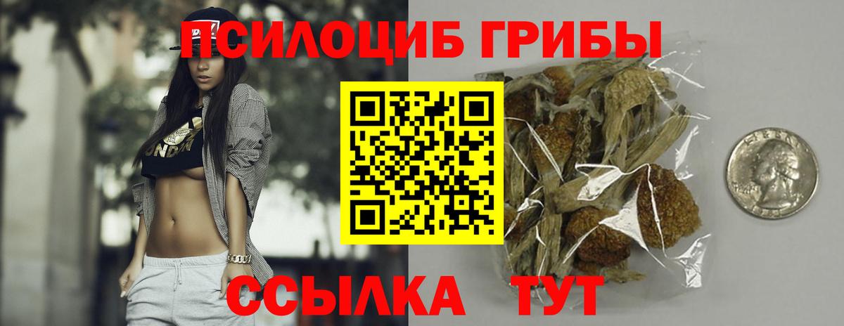 Кисловодск  Псилоцибиновые грибы Magic Shrooms  Вход с VPN 